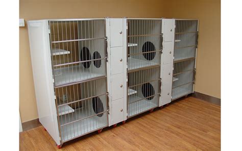 stainless steel cat enclosures|modular cat cages for shelters.